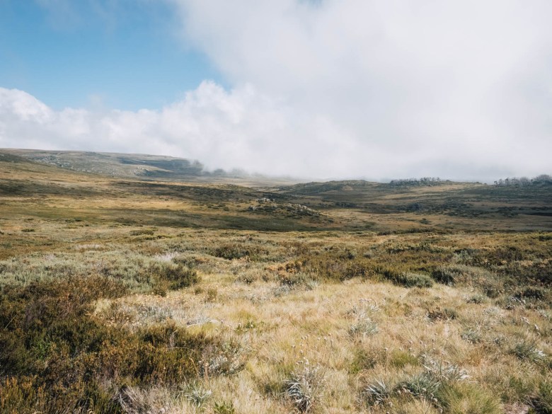 Llanuras altas de Bogong