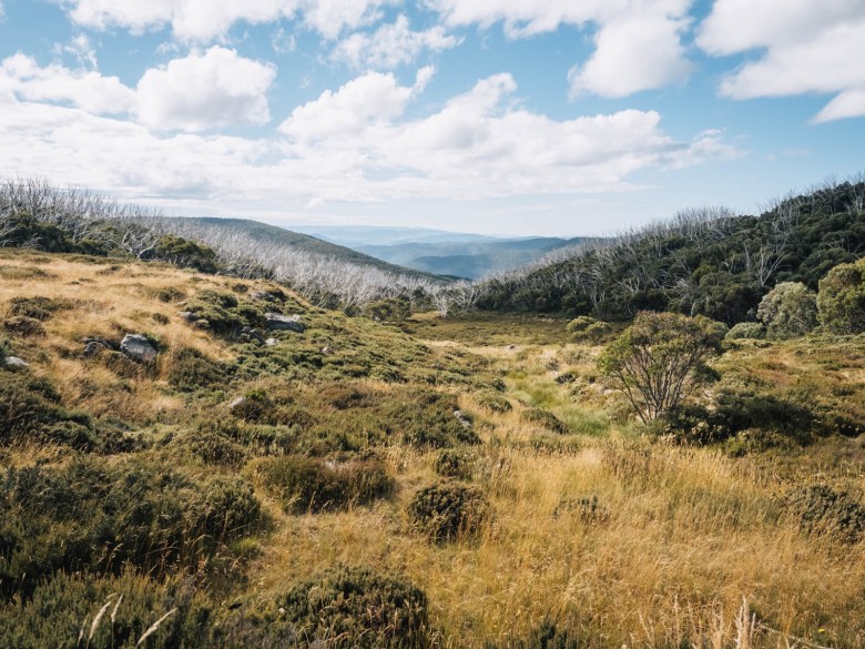 Vista desde el camino del acueducto