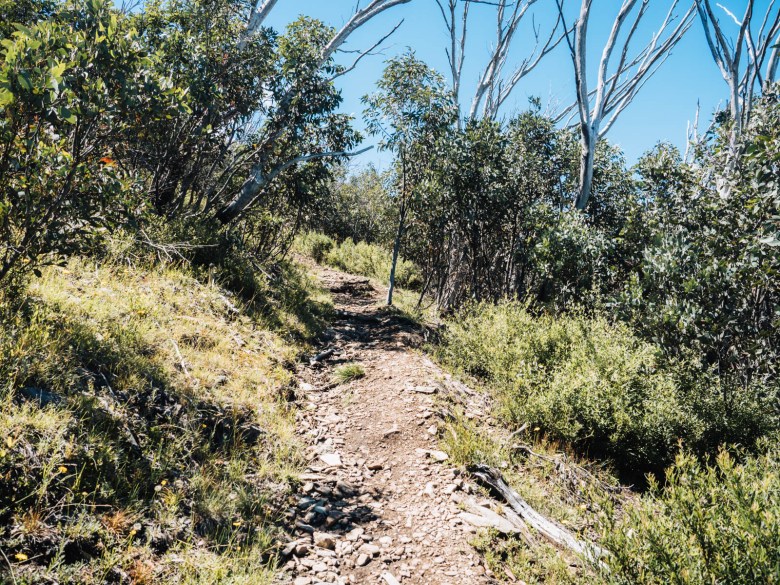 Bungalow Spur Track