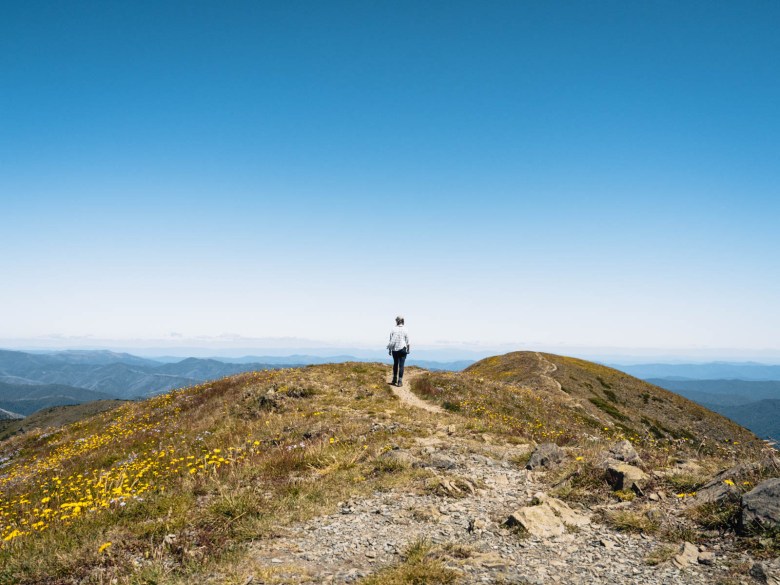 Vista desde la cumbre del monte Feathertop