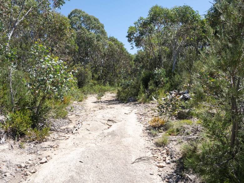 Ruta de senderismo del monte McLeod