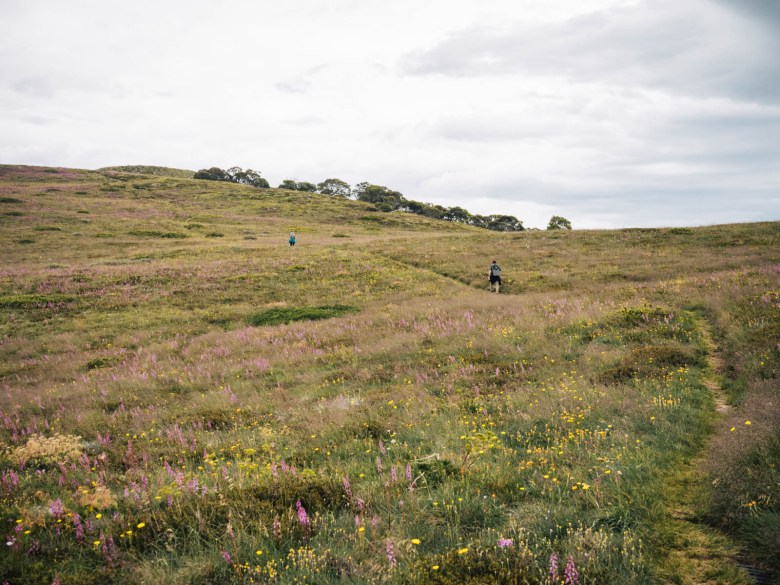 Caminata al monte Howitt