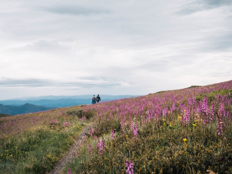 Caminata al monte Howitt en verano