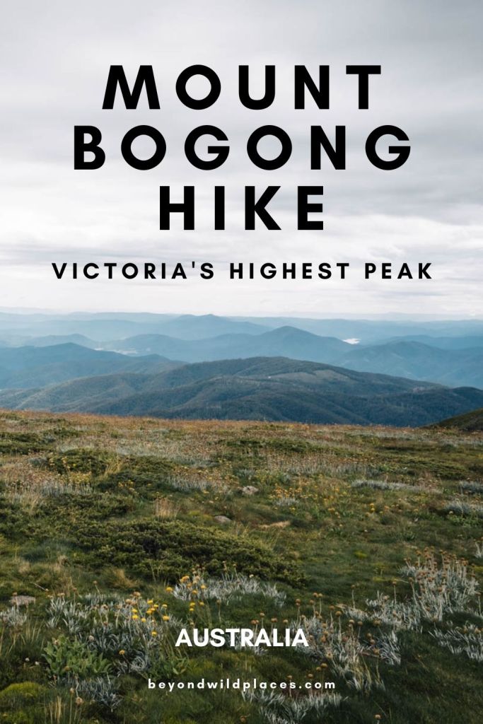 Alfiler de la guía de caminata del monte Bogong