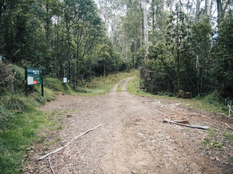 Inicio del sendero Mountain Creek Road