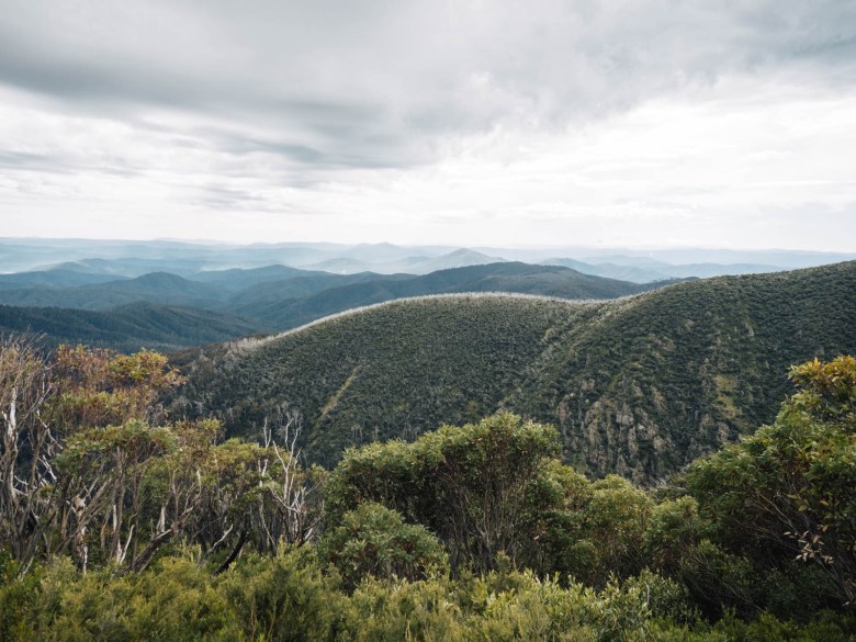 Primeras vistas por encima de la línea de árboles en la escalera