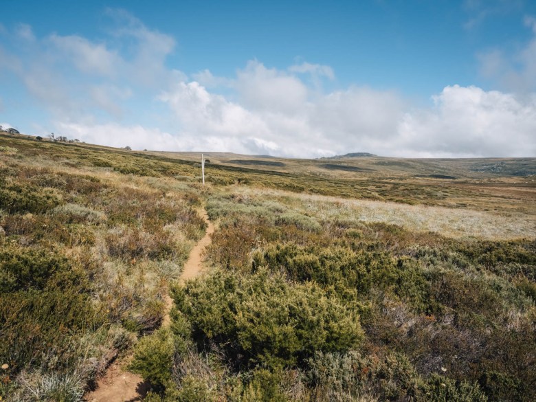 Cruzando las llanuras altas de Bogong