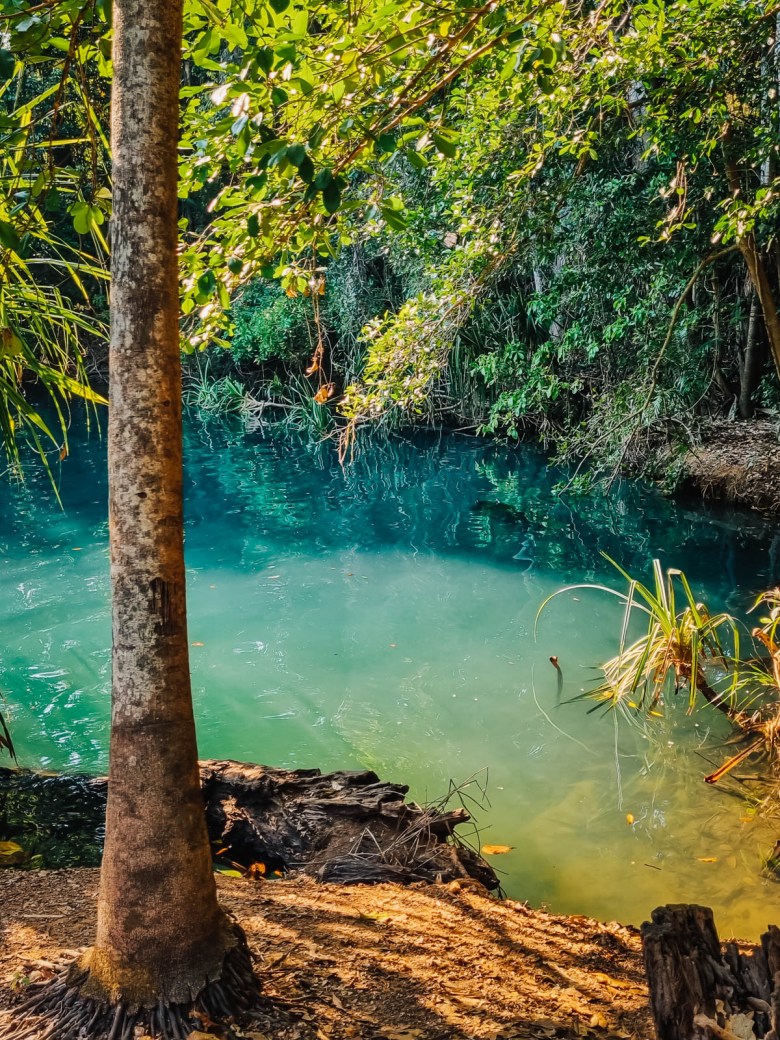 Aguas termales de Berry Springs