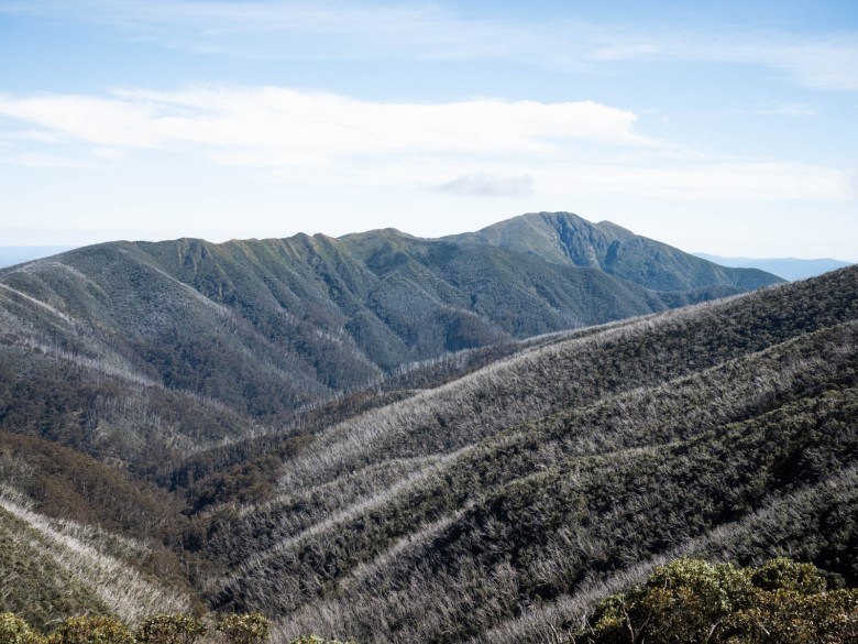 Vista del monte Feathertop