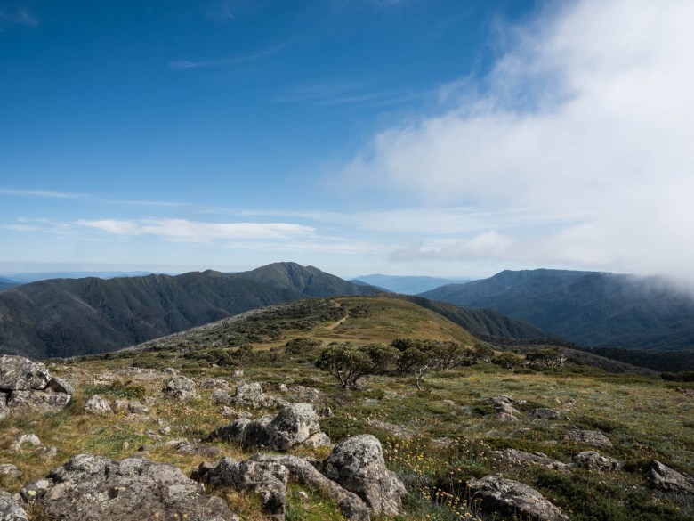 Vista del monte Feathertop desde el monte Loch