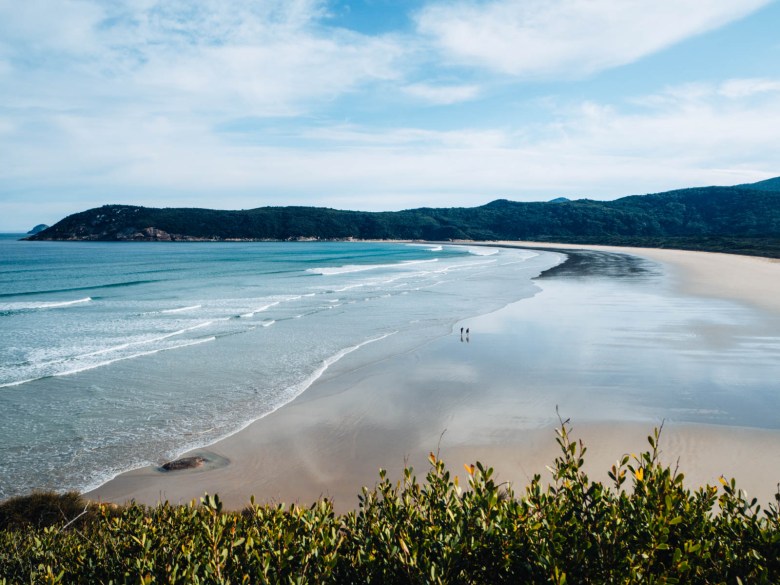 Playa de baile de Wilson