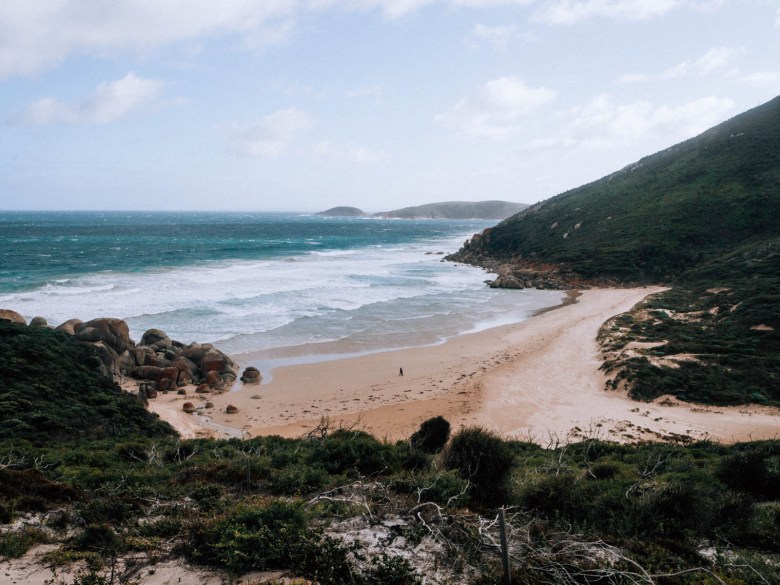bahía del whisky