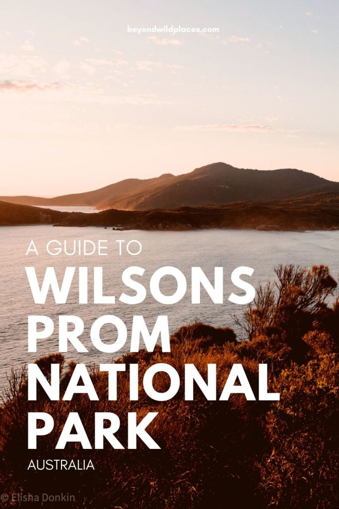 Prendedor guía de graduación de Wilsons
