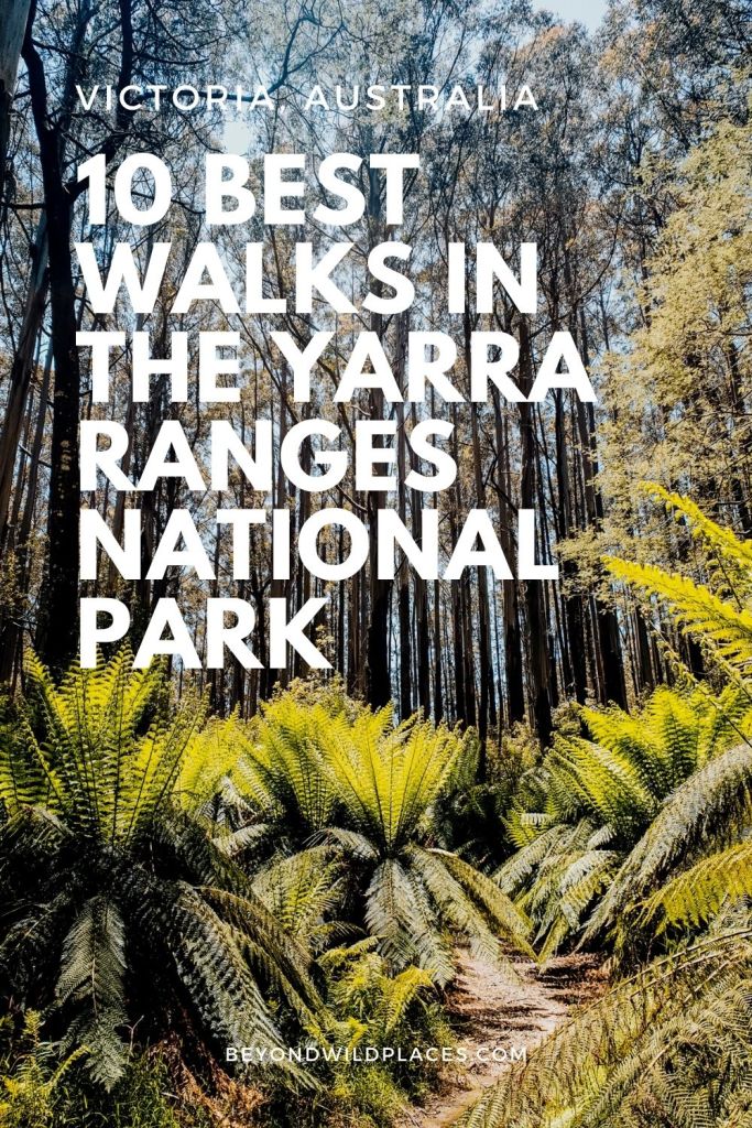 Yarra Ranges camina pasador