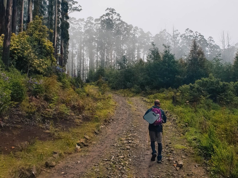 Pista Monda