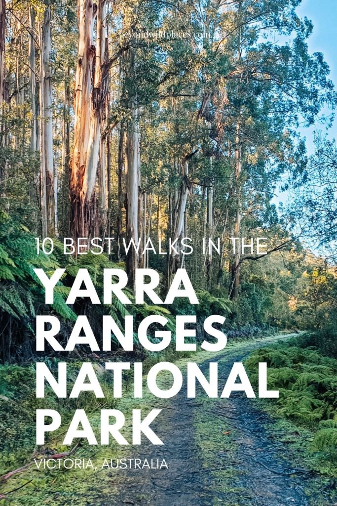 Los mejores paseos en el pasador de Yarra Ranges