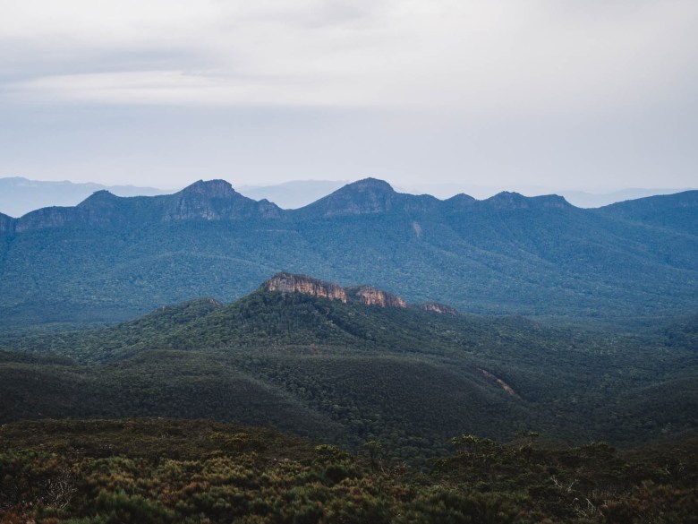 Vista desde el monte William