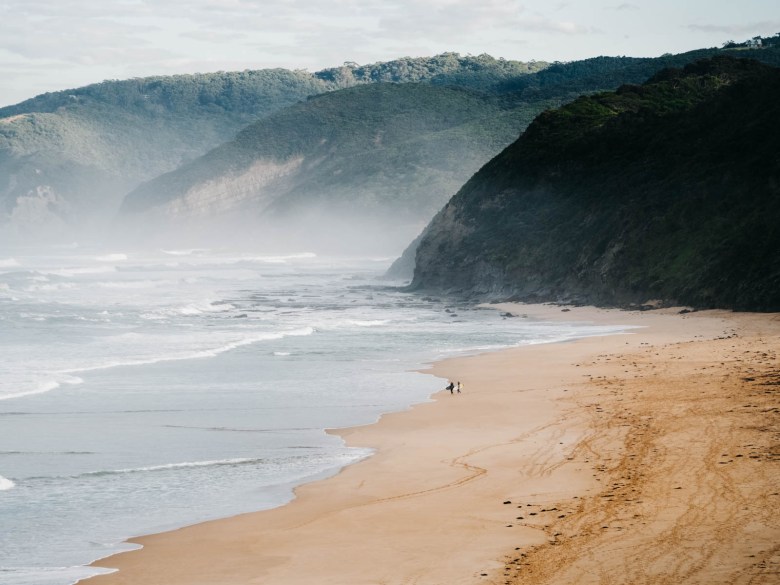 Surfistas de la playa de Johanna