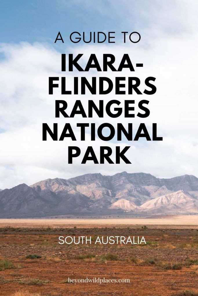 Prendedor del Parque Nacional Flinders Ranges