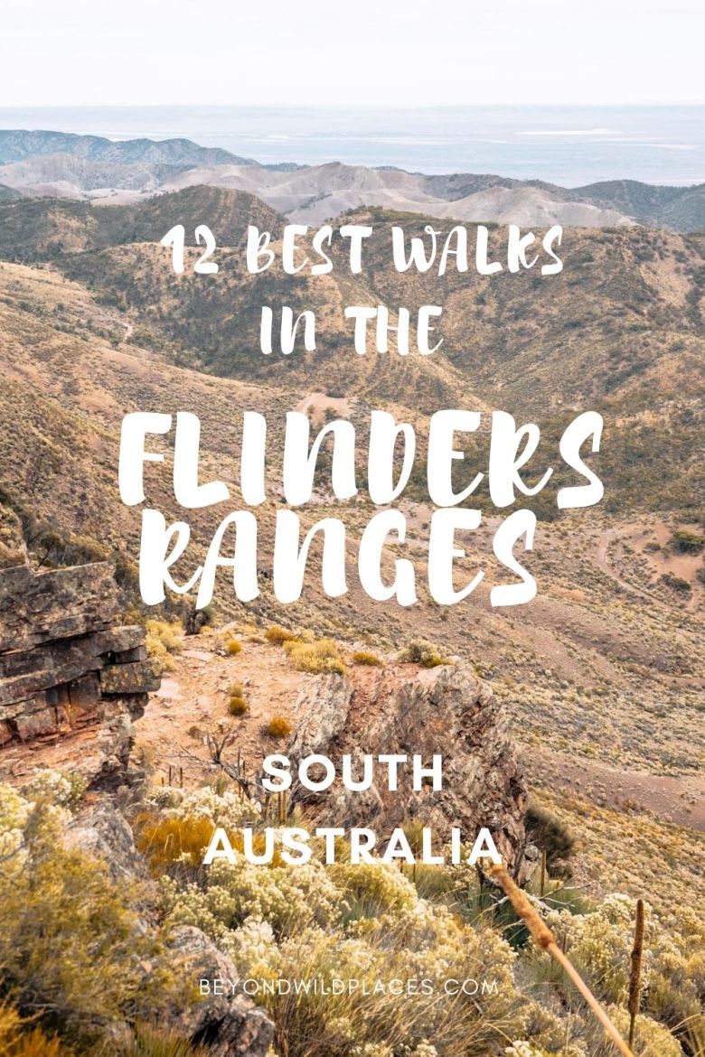 Prendedor de paseos de Flinders Ranges