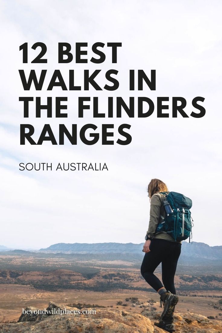 Prendedor de paseos de Flinders Ranges