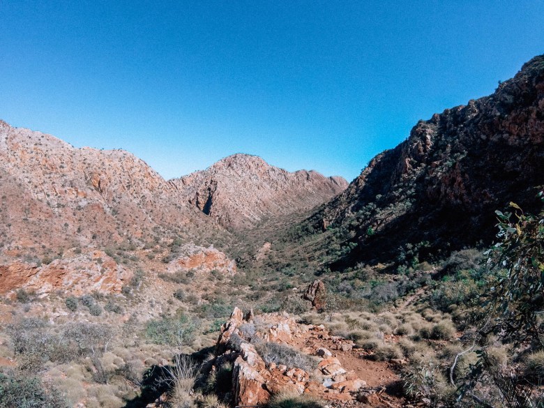 Sendero de Larapinta a Standley Chasm