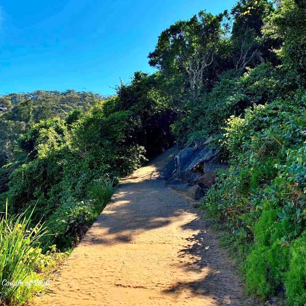 Sendero de acceso a Barrenjoey Headland