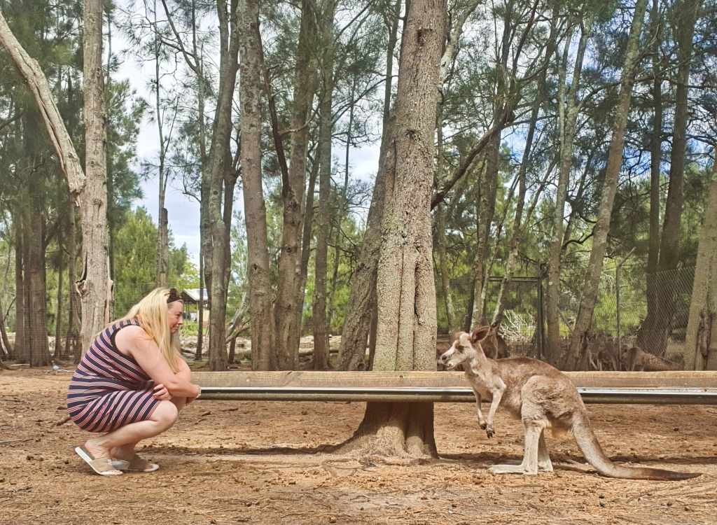 Parque de animales Birdland en Batemans Bay