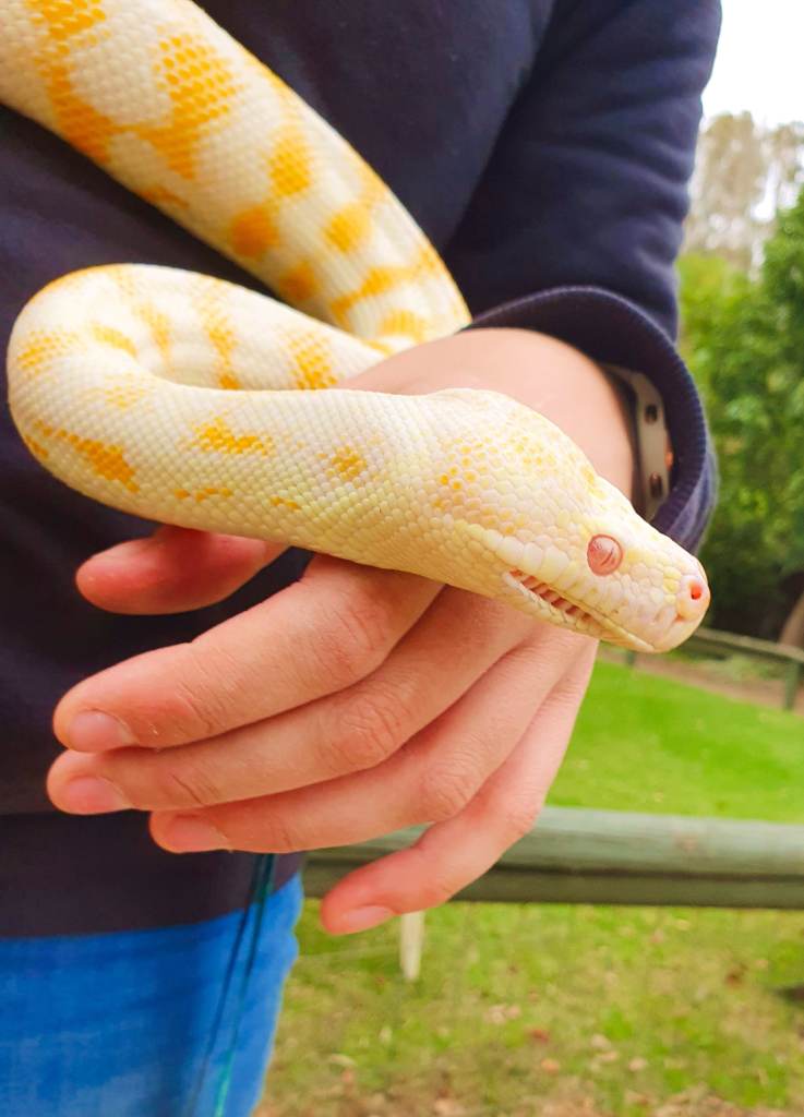 Parque de animales Birdland en Batemans Bay