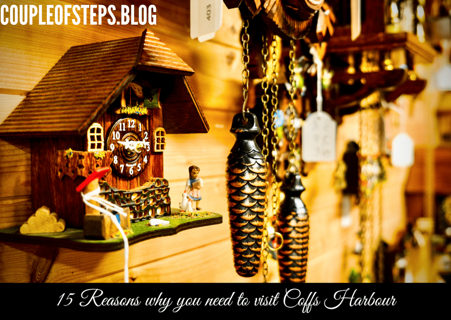 15 razones por las que necesita visitar Coffs Harbour NSW