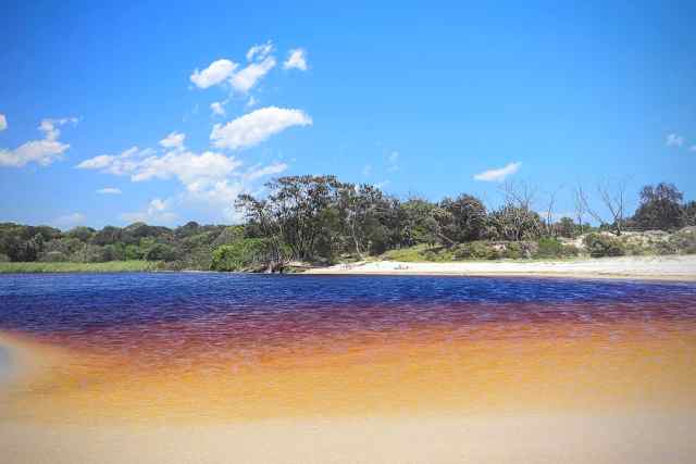 Lago del árbol del té, cabeza de Lennox