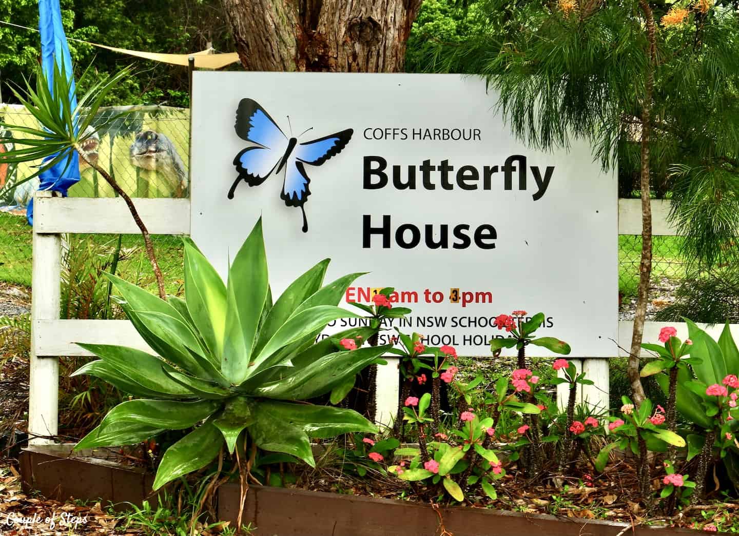 Casa de mariposas de Coffs Harbour