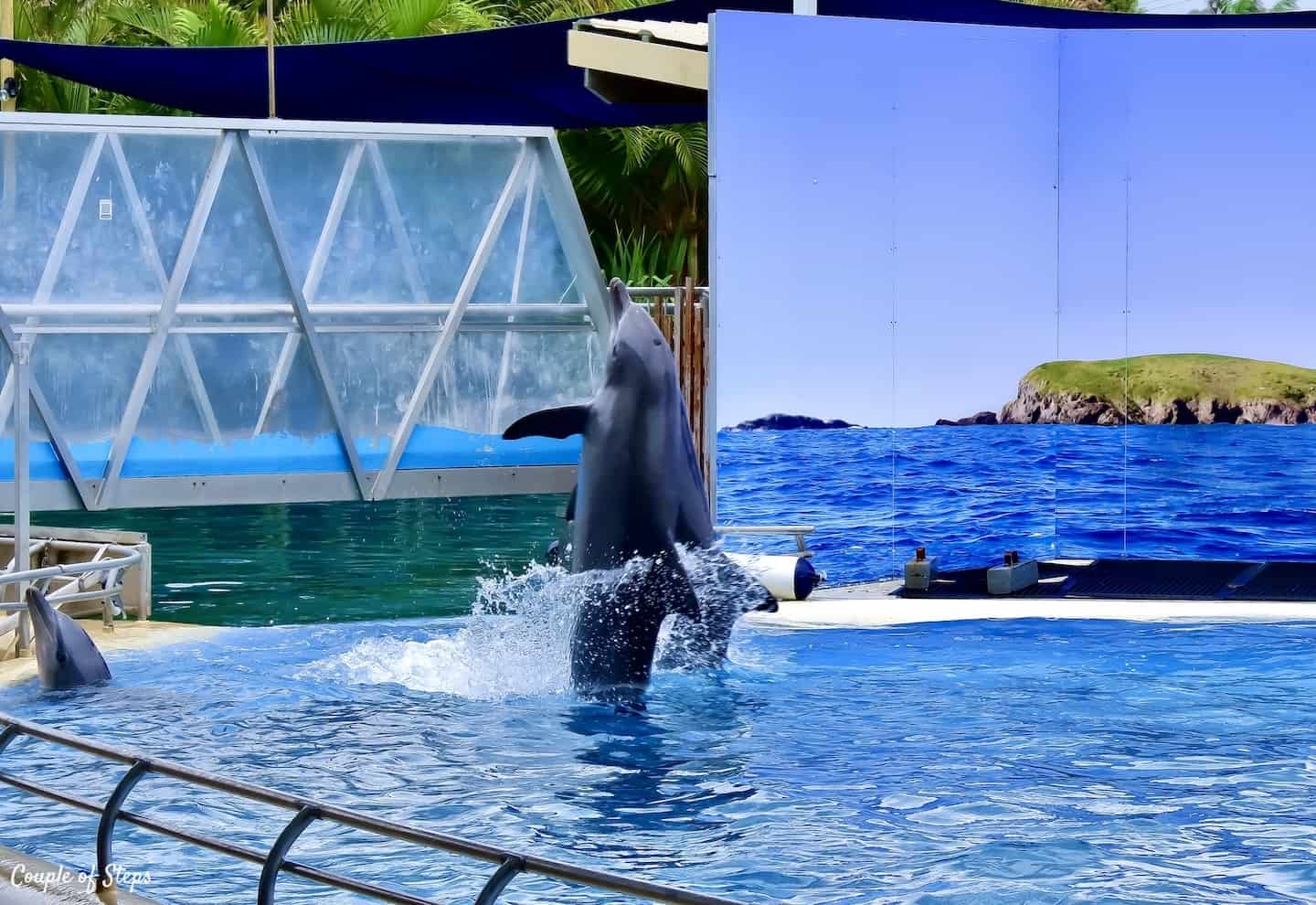 Parque de conservación marina de delfines